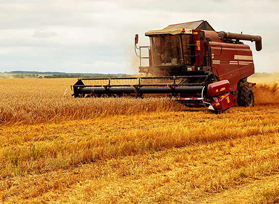 Dittmann Insurance_Personal & Commercial Insurance Southeast Kansas. Commercial farm insurance, a large farm implement shocks wheat within a large wheat field.